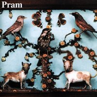 Bewitched - Pram