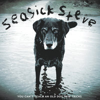 Treasures - Seasick Steve