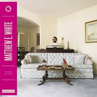 Vision - Matthew E. White
