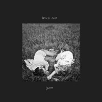 Drive - Wild Cub