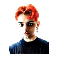 fr3indz0n3 - lil soda boi
