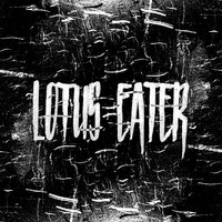 Kin - Lotus Eater
