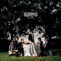 Automatic 6 - Hushpuppies
