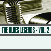 Baby Please Don't Go - Big Joe Williams, Sonny Boy Williamson