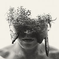 Play Out - Zola Blood