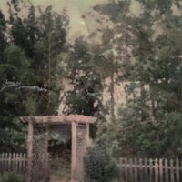 flowers - killedmyself