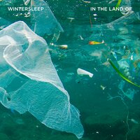 Surrender - Wintersleep
