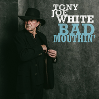 Down the Dirt Road Blues - Tony Joe White
