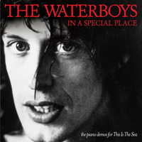 Beverly Penn - The Waterboys