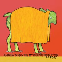 Banking on a Myth - Andrew Bird