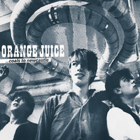 Flesh of My Flesh - ORANGE JUICE