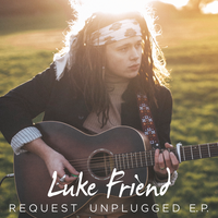 Hollow - Luke Friend