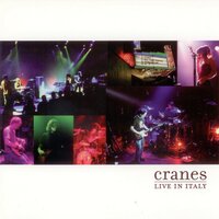 Submarine - Cranes