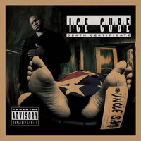 Robin Lench - Ice Cube