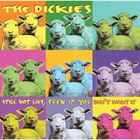 You Drive Me Ape (You Big Gorilla) - The Dickies