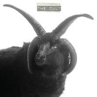 Be Free - The Cult