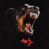 Rude Customer - Albert Hammond Jr