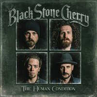 Give Me One Reason - Black Stone Cherry