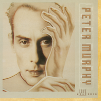 Fun Time - Peter Murphy