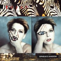 Prospect - Toyah