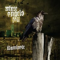 Lux Aeterna - Where Angels Fall
