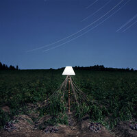 Preserve - Beacon