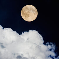 Horizons - White Noise Nature Sounds Baby Sleep, Restaurant Music Academy, Musica para Estudiar