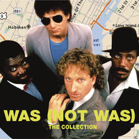 Boy's Gone Crazy - Was (Not Was)