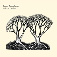 Safe Hands - Paper Aeroplanes