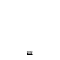 Restless - Chris Travis