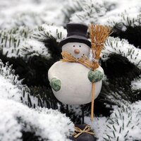 Dancing Season - Nature Sounds for Sleep and Relaxation, Mindfulness Meditation Music Spa Maestro, Study Alpha Waves