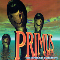 Glass Sandwich - Primus