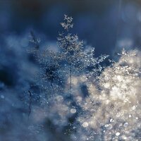 Christmas Fun! - Relaxing Mindfulness Meditation Relaxation Maestro, Deep Sleep Music Maestro, Greatest Christmas Songs