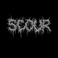 Crooked - Scour