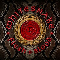 After All - Whitesnake
