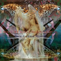 Bonewhiteglory - Nature and Organisation, Current 93, Rose McDowall