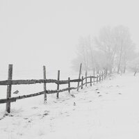 Sweet Holiday Memories - Classic Carols, Romantic Dinner Party Music With Relaxing Instrumental Piano, Christmas, Classic Carols, Romantic Dinner Party Music