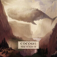 Sushi - Cocoon