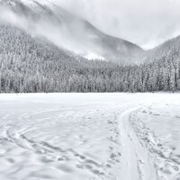 Winter Fun - Canzoni di Natale, Kids Christmas Songs, Piano Love Songs: Classic Easy Listening Piano Instrumental Music