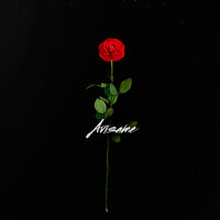 Víbora - Los Palmeras