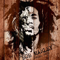 Satisfy My Soul Babe - Bob Marley