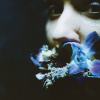 Philo - Circuit Des Yeux