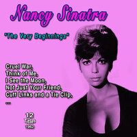 Not Just Your Friend - Nancy Sinatra