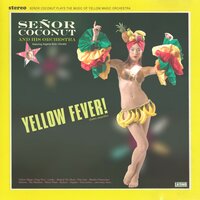 Mambo Numerique - Señor Coconut
