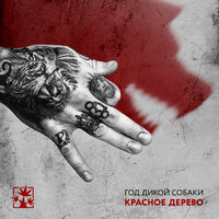 До талого - Красное Дерево, Zoti