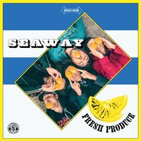 The Let Down - Seaway