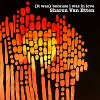 Have You Seen - Sharon Van Etten