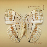 Footprint - Xavier Rudd