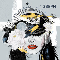 Мотылёк - Звери