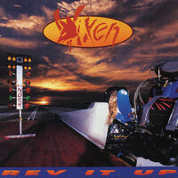 It Wouldn't Be Love - Vixen
